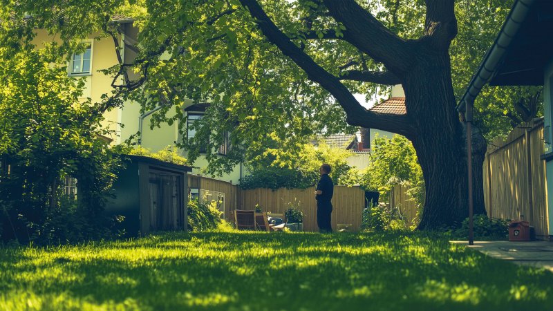Überwachsende Äste und Wurzeln: Was Eigentümer tun dürfen
