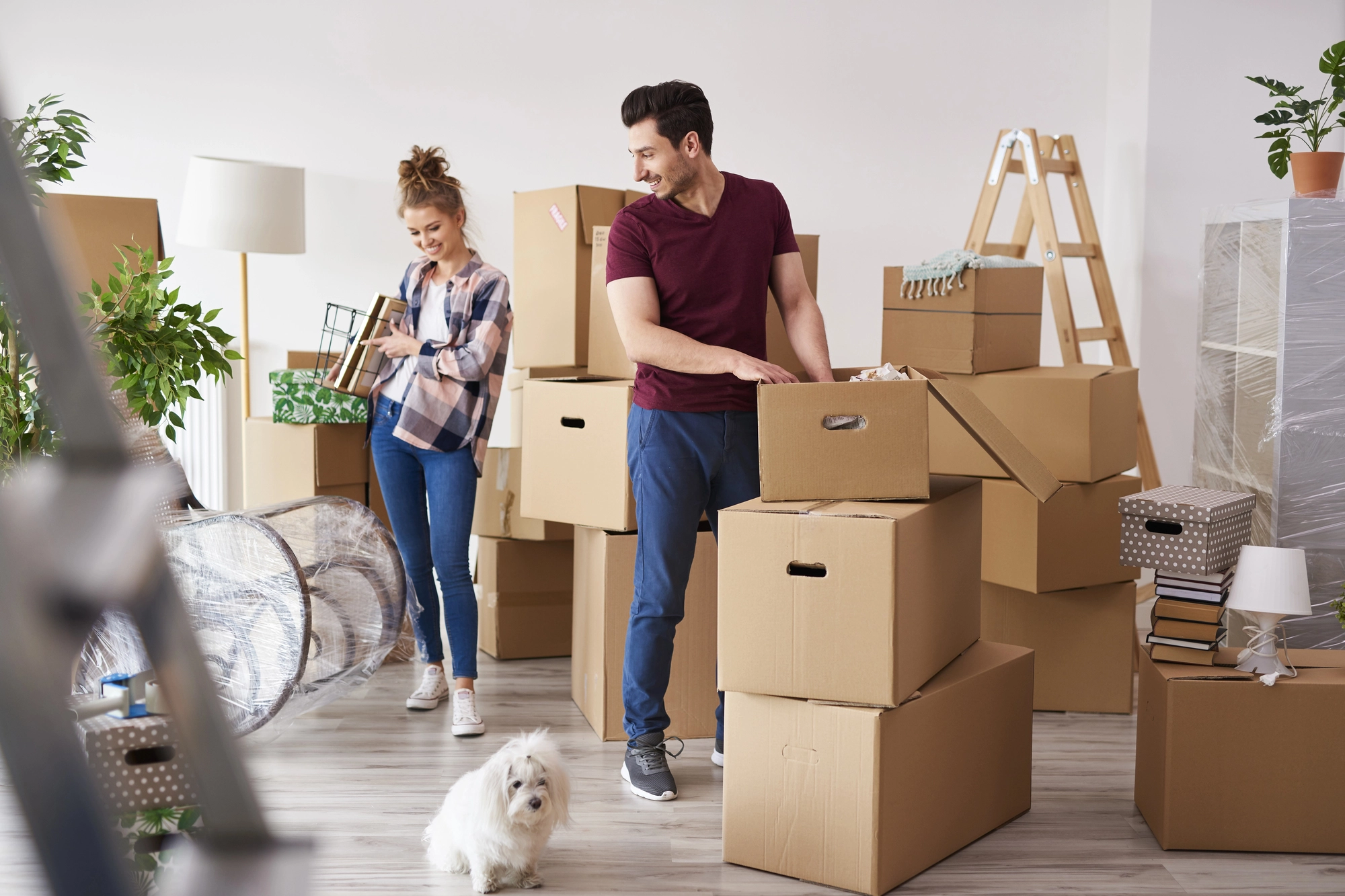 Achtung vor Betrugsmaschen auf dem Wohnungsmarkt