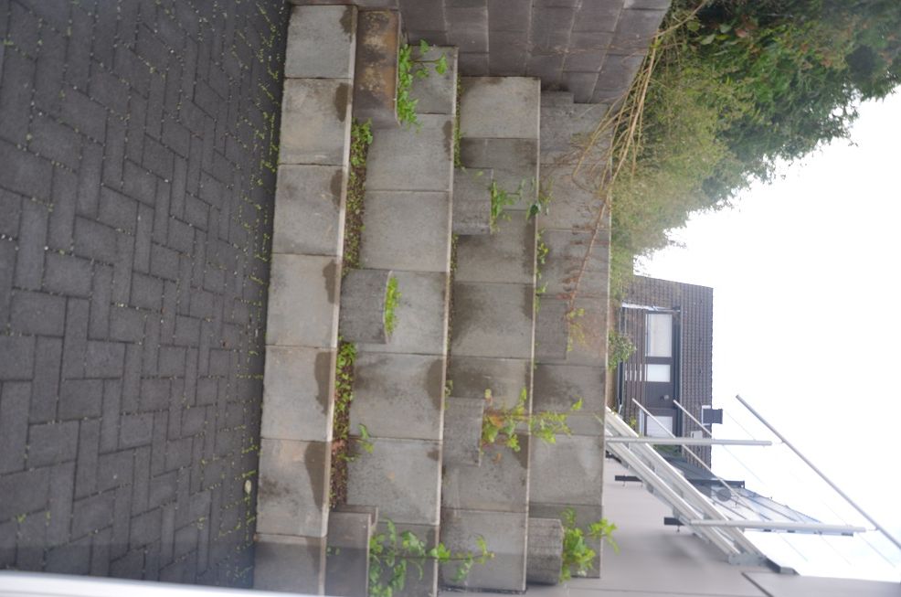 Terrasse Souterrain