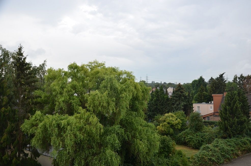 Aussicht vom Balkon