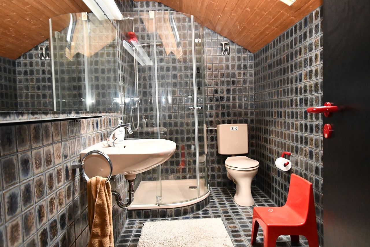 Duschbad Dachgeschoss