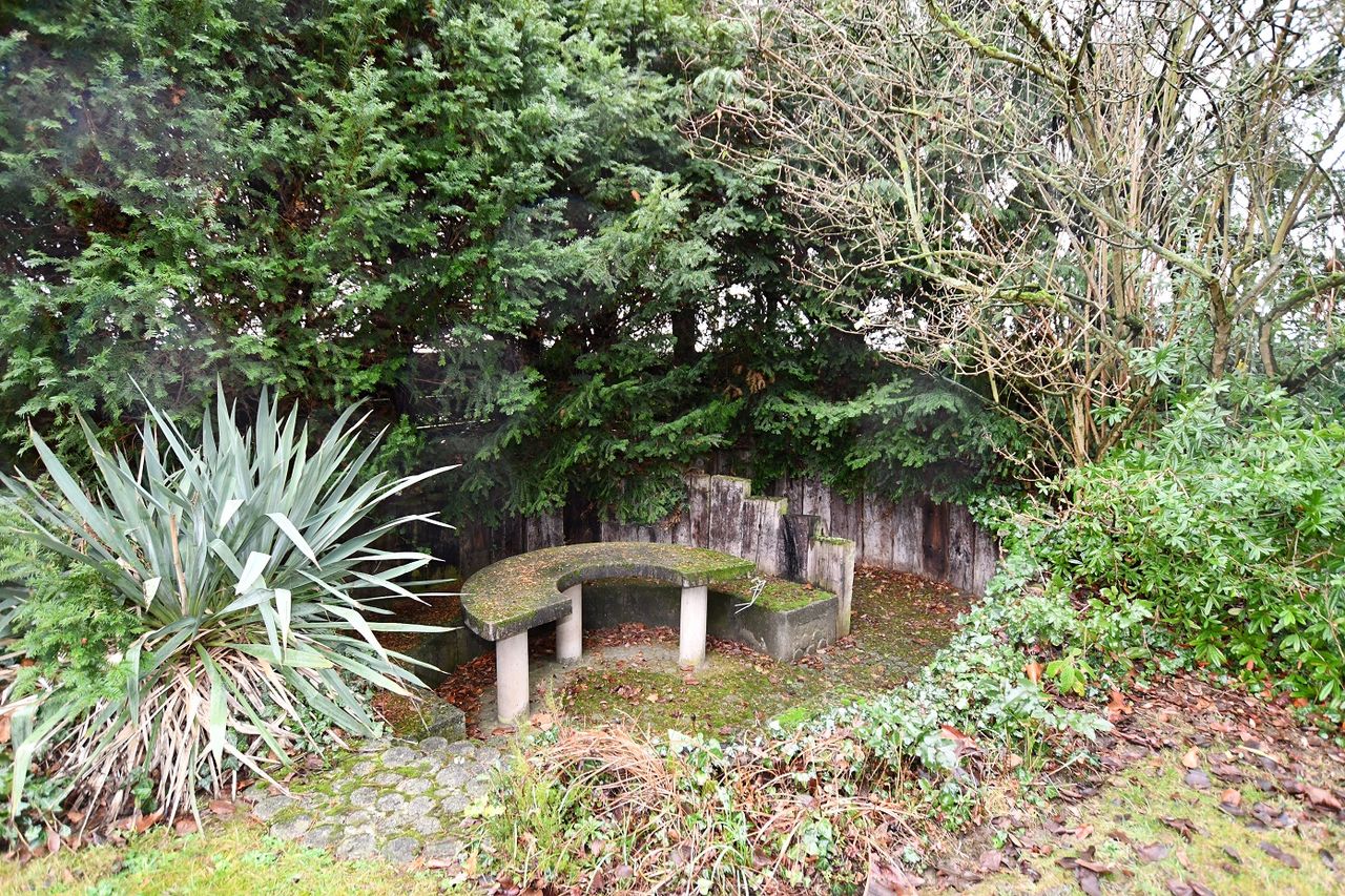 Garten 2