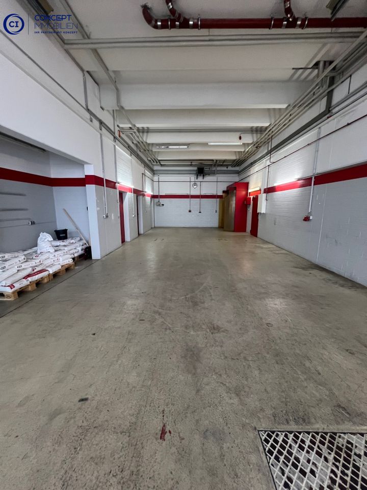 Halle 1