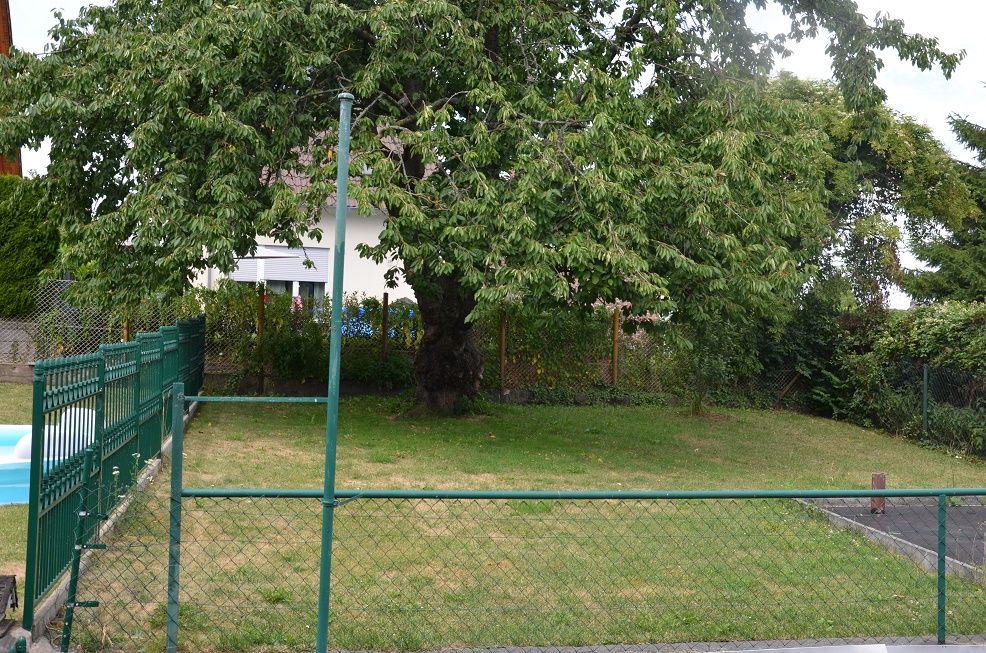 Gemeinschaftsgarten