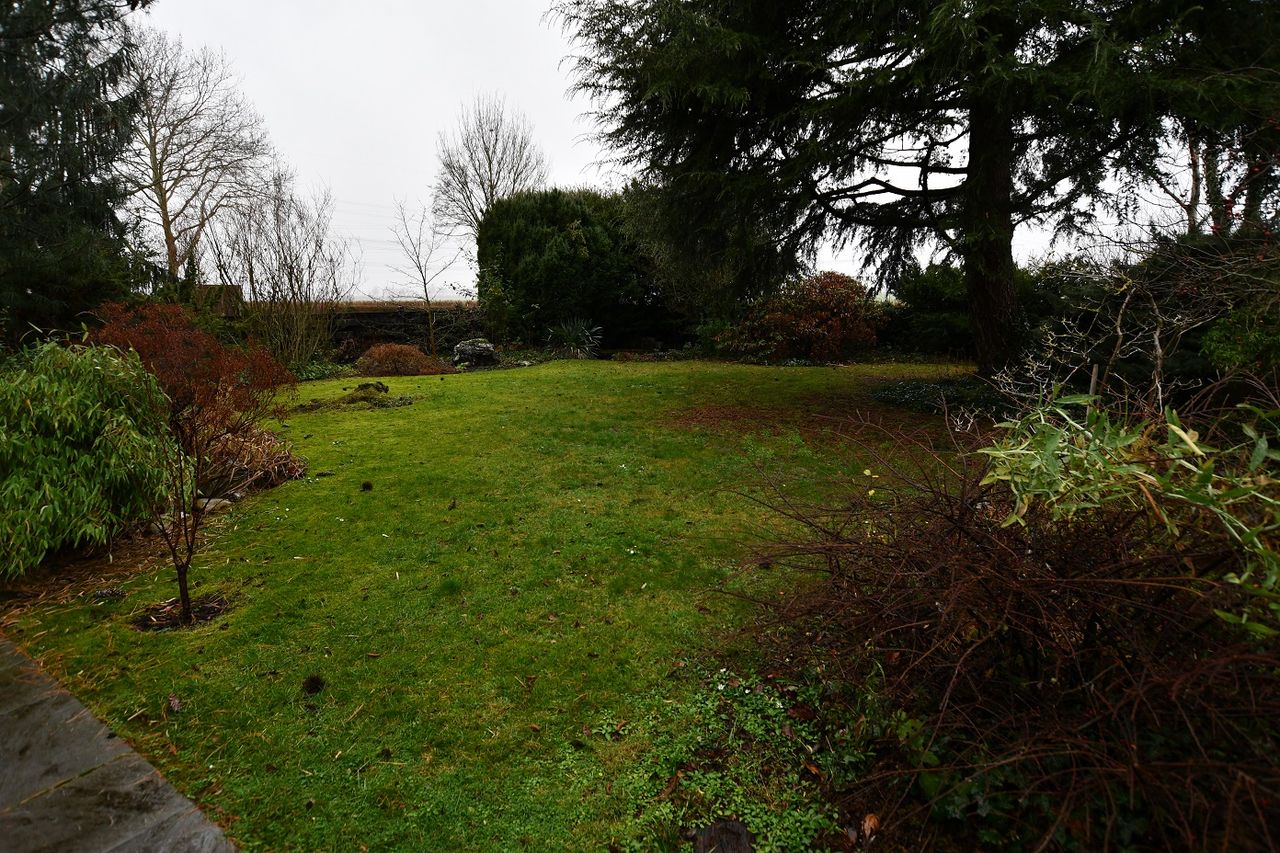 Garten 1