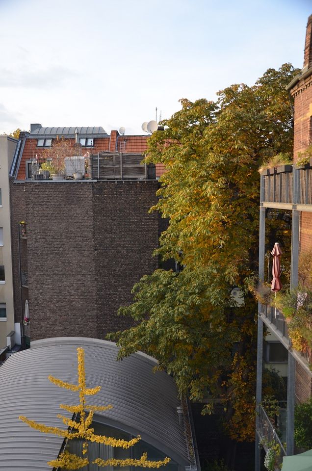 Aussicht vom Balkon