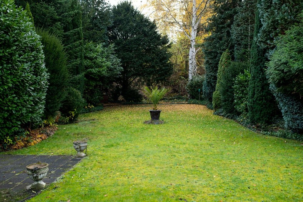 Garten 3