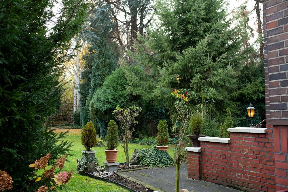 Garten 2