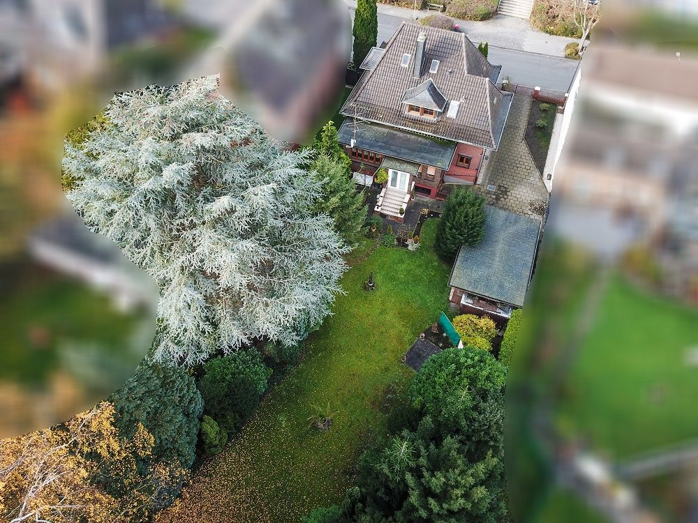 Gartenansicht 1