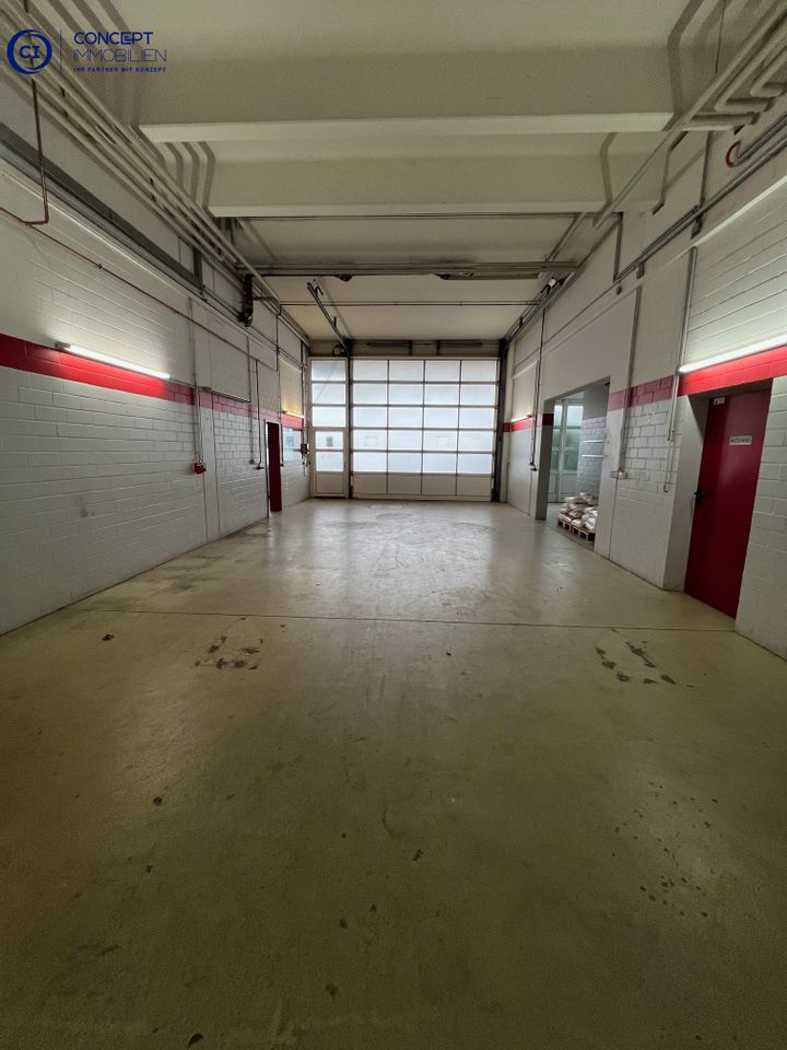 Halle 1 zweite Ansicht