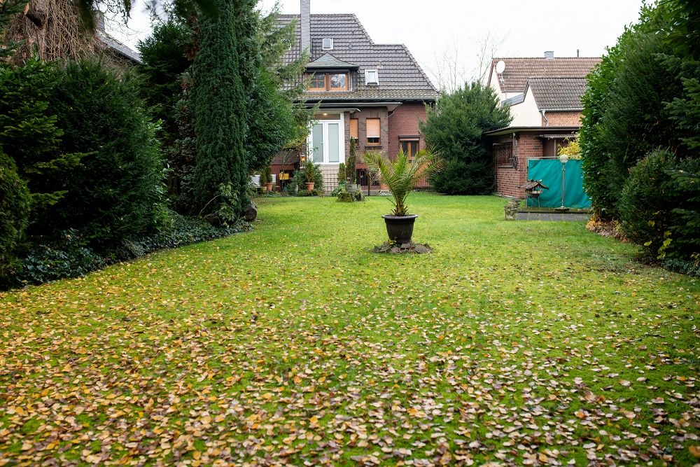 Rückansicht