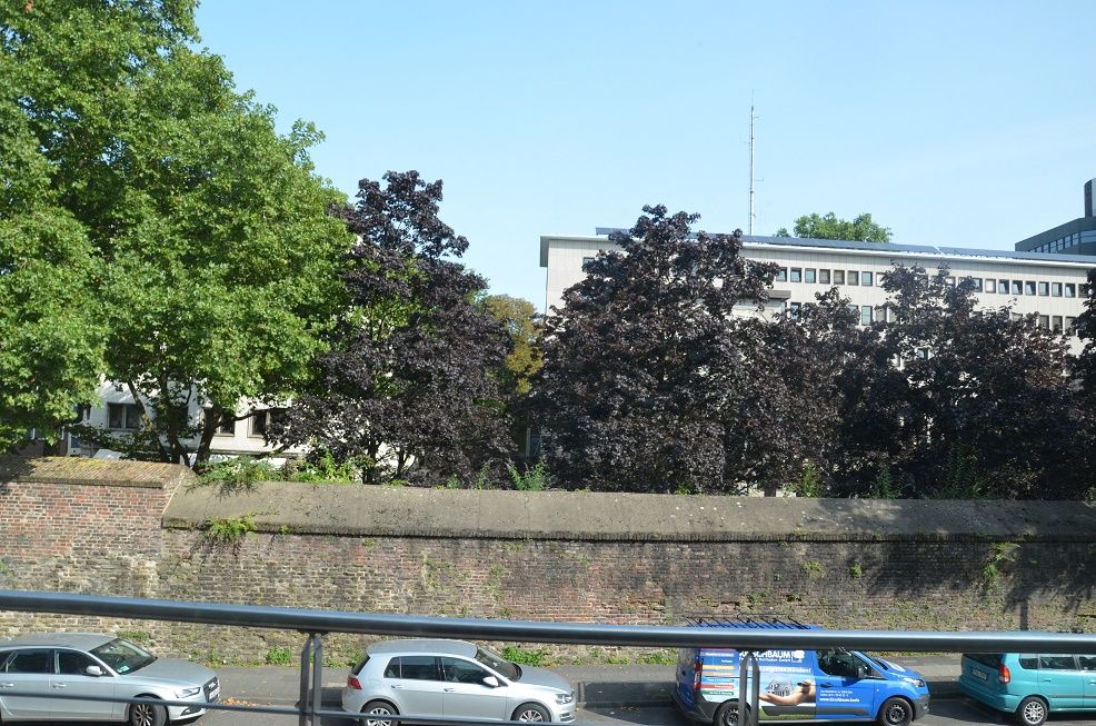 Aussicht vom Balkon