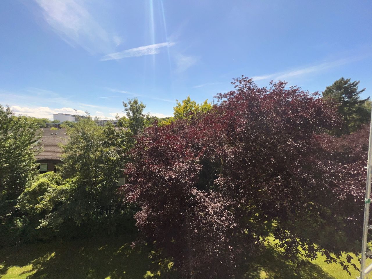 Aussicht vom Balkon