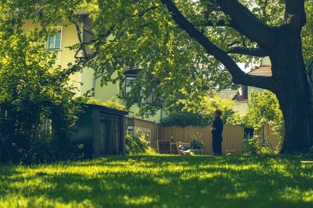 Überwachsende Äste und Wurzeln: Was Eigentümer tun dürfen
